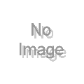 ユタ州とブリガム・ヤング―アメリカ西部開拓史における暴力・性・宗教

 &nbsp;(新教出版社)&nbsp;